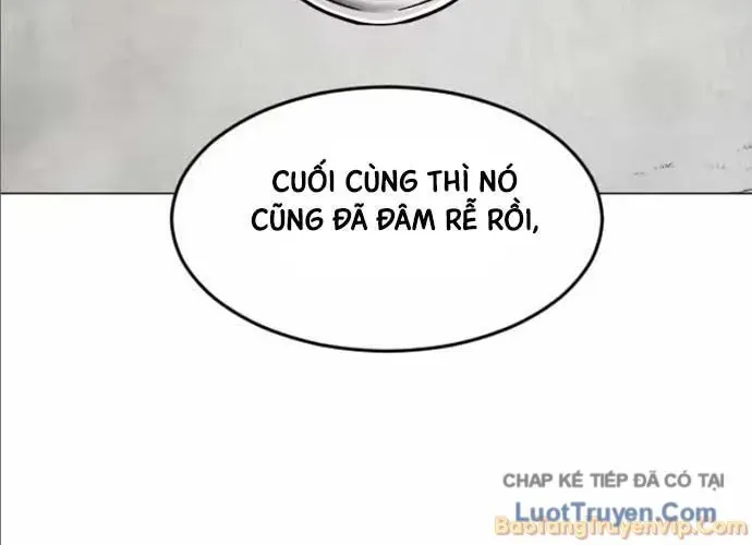 Vùng Đất Sương Mù Chap 33 - Next Chap 34