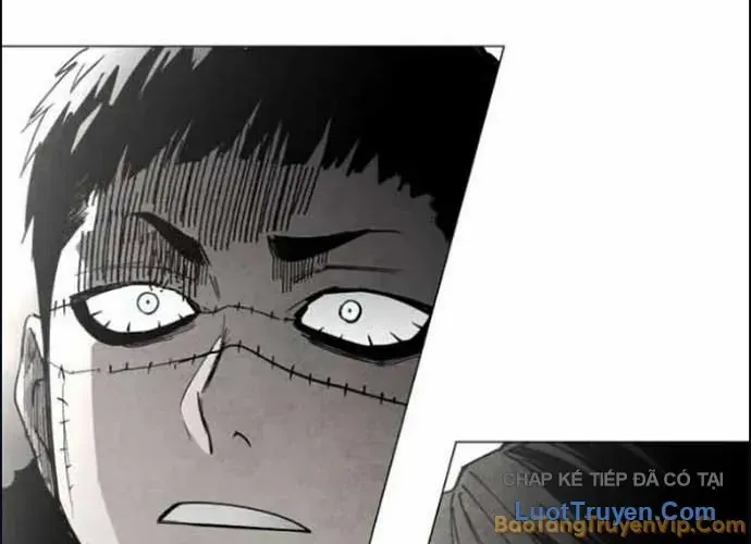 Vùng Đất Sương Mù Chap 34 - Next Chap 35
