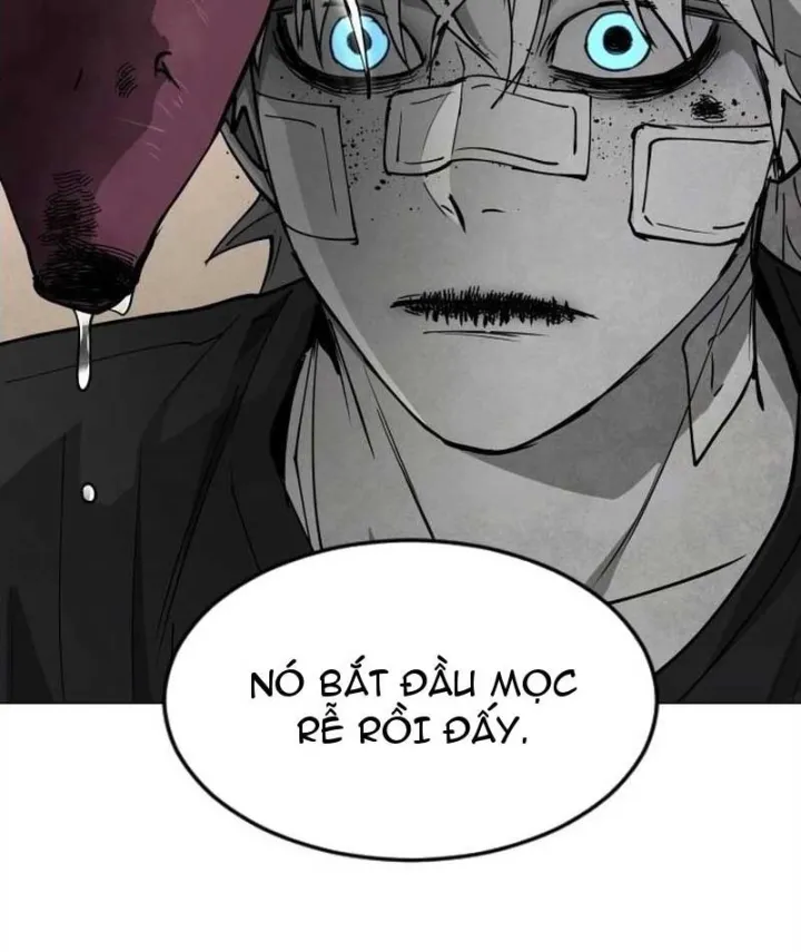 Vùng Đất Sương Mù Chap 51 - Next Chap 52
