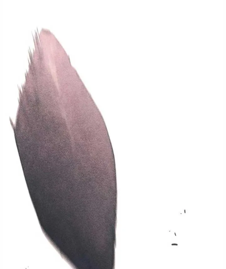 Vùng Đất Sương Mù Chap 51 - Next Chap 52