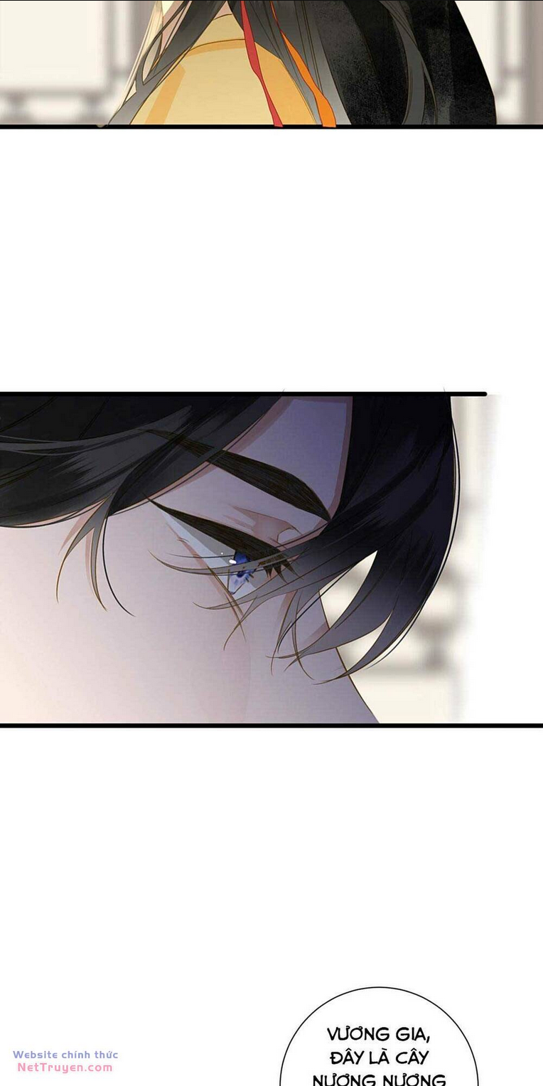 Vương Gia Hắn Luôn Nghĩ Tôi Yêu Hắn Đến Nghiện Chap 74 - Next Chap 75