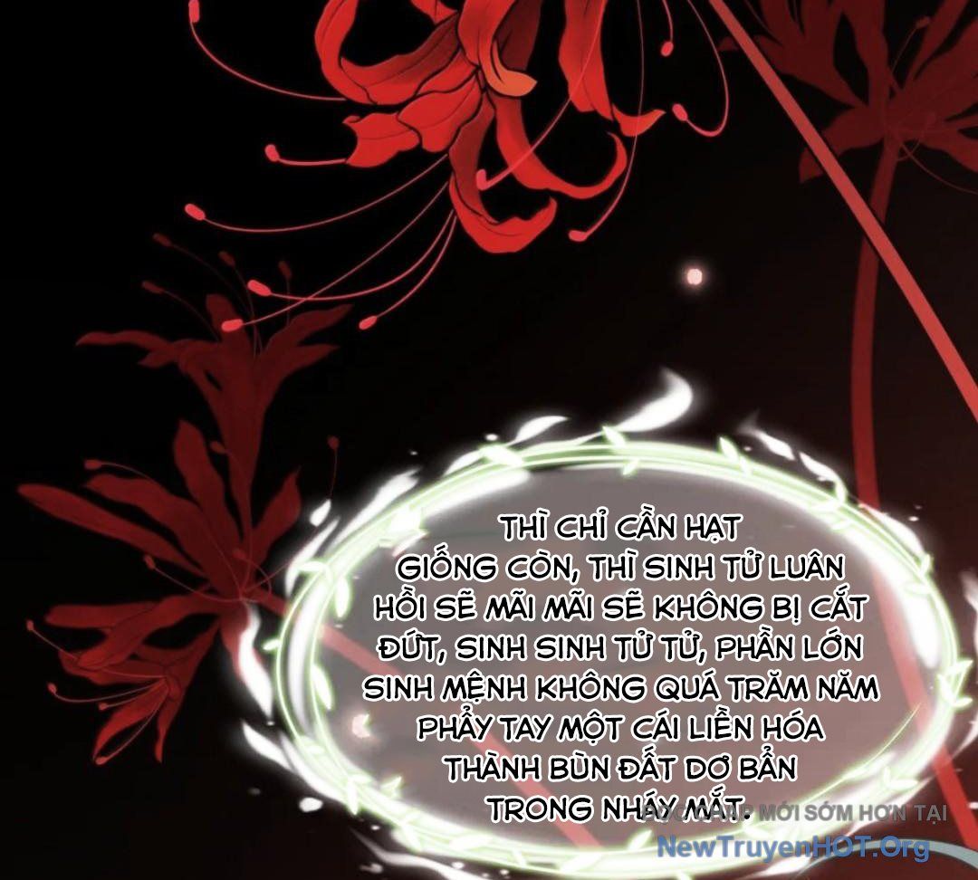 Vượt Cấp Xuyên Không, Tại Sao Tôi Lại Trở Thành Tiểu Thư Tu Sĩ? Chap 49 - Next Chap 50