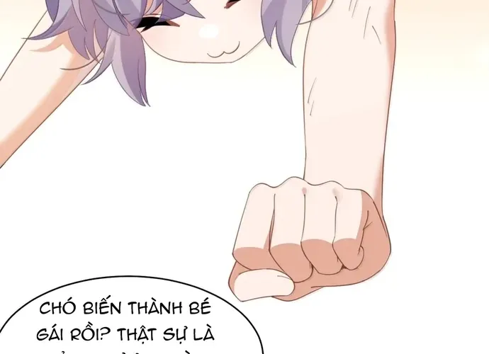 vượt cấp xuyên không, tại sao tôi lại trở thành tiểu thư tu sĩ? Chap 55 - Next Chap 56