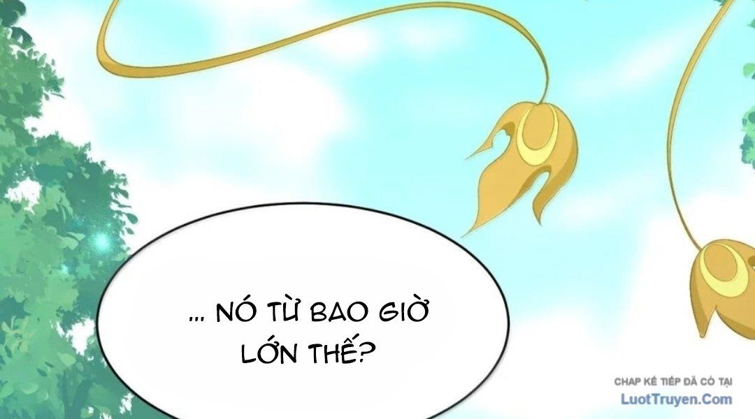 Vượt Cấp Xuyên Không, Tại Sao Tôi Lại Trở Thành Tiểu Thư Tu Sĩ? Chap 63 - Next Chap 64