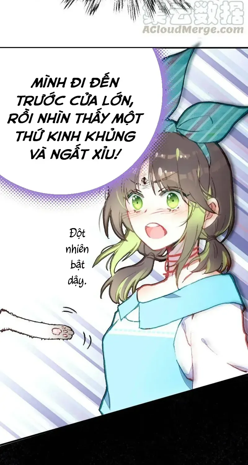 Xách Mèo Vào Ở Chap 3 - Next Chap 4
