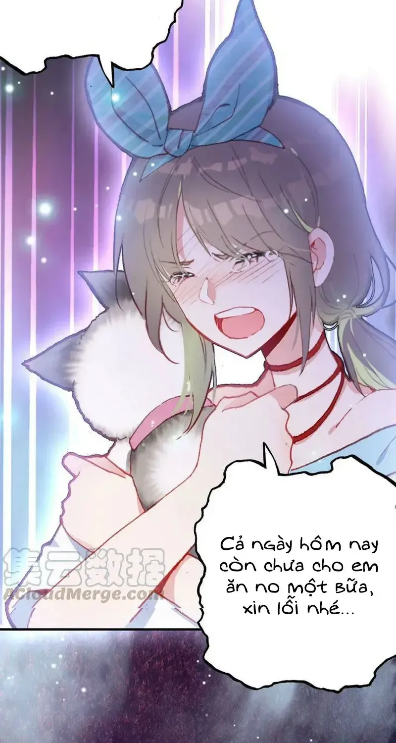 Xách Mèo Vào Ở Chap 4 - Next Chap 5