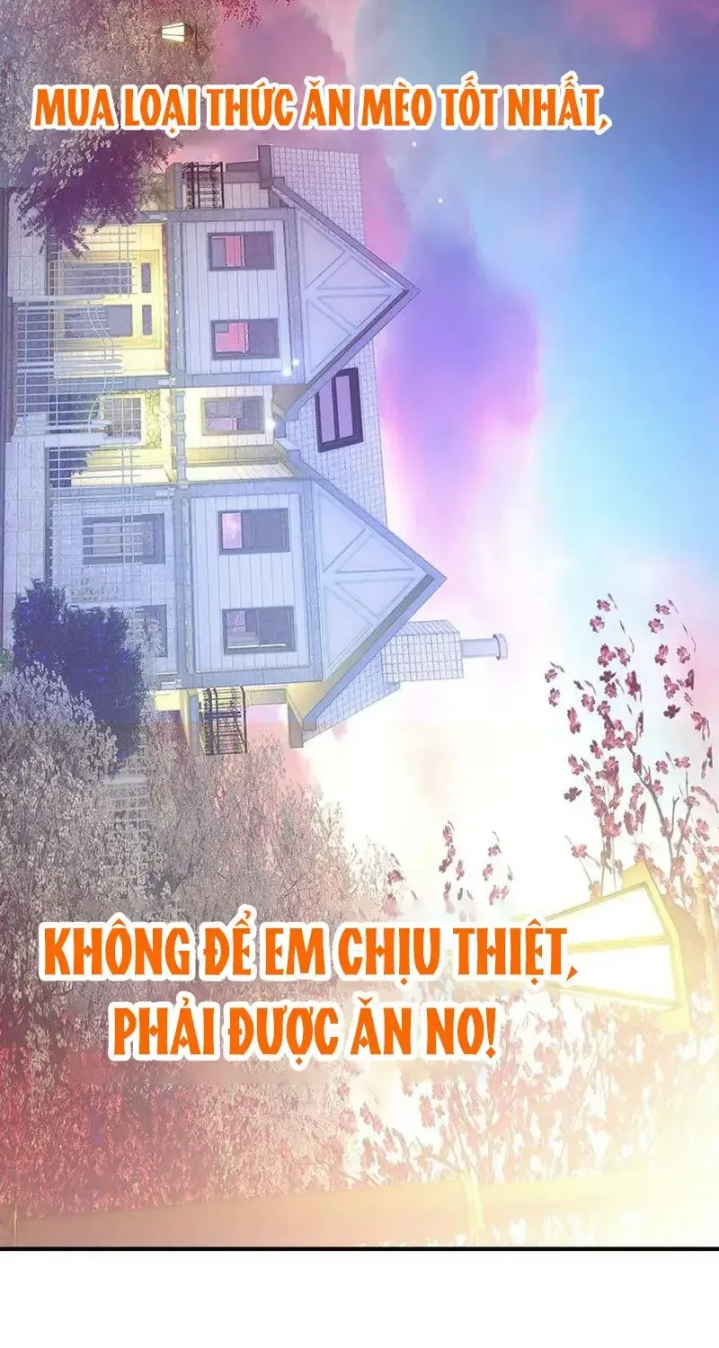 Xách Mèo Vào Ở Chap 4 - Next Chap 5