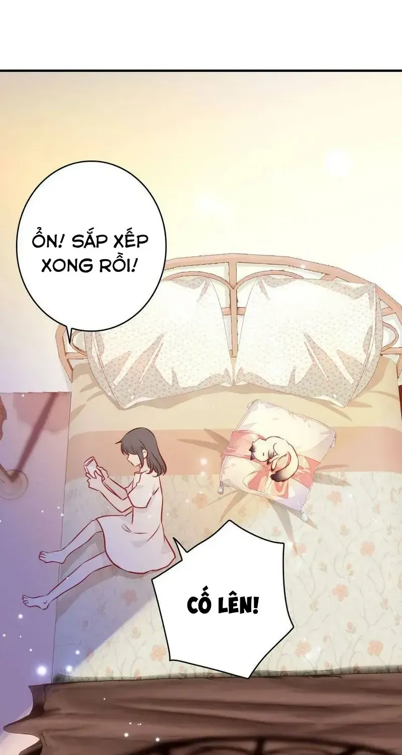 Xách Mèo Vào Ở Chap 4 - Next Chap 5
