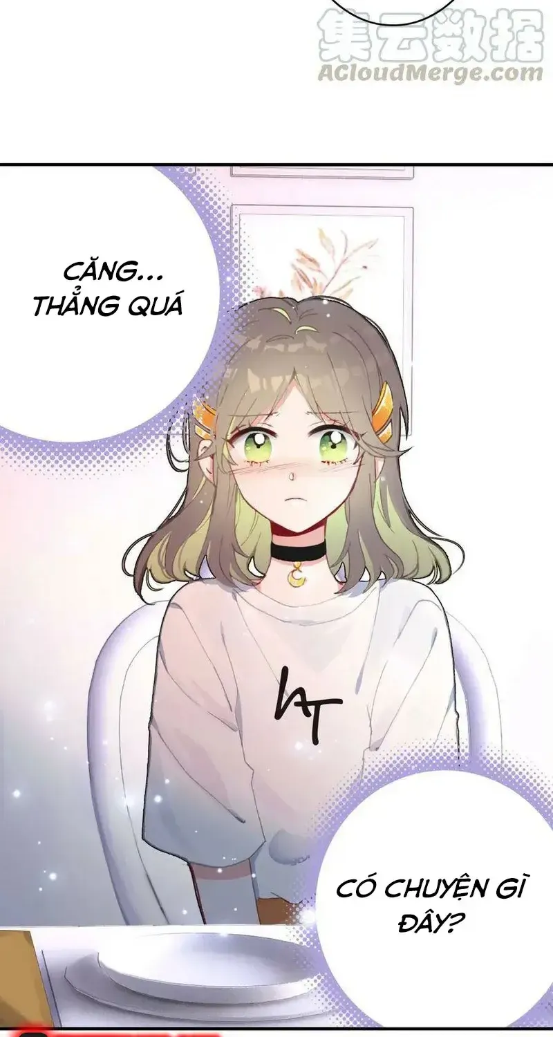 Xách Mèo Vào Ở Chap 4 - Next Chap 5