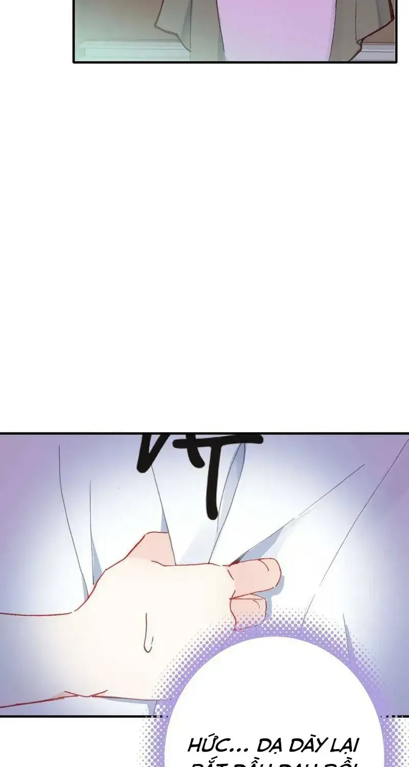 Xách Mèo Vào Ở Chap 4 - Next Chap 5