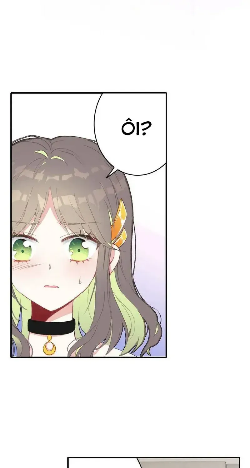 Xách Mèo Vào Ở Chap 4 - Next Chap 5