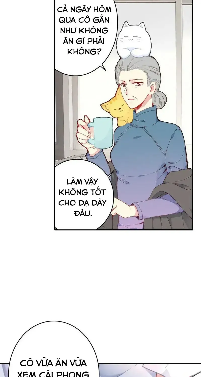 Xách Mèo Vào Ở Chap 4 - Next Chap 5