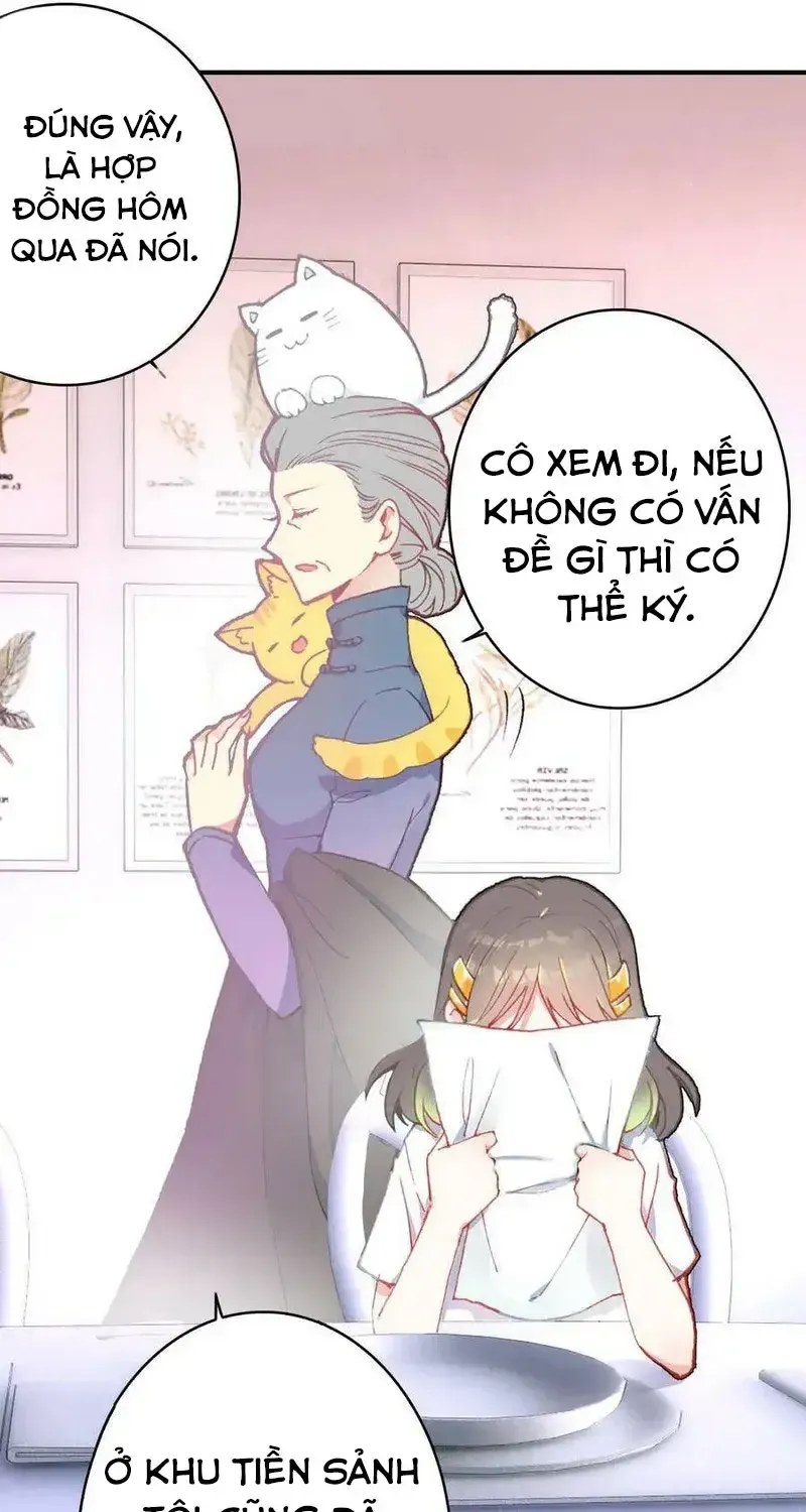 Xách Mèo Vào Ở Chap 4 - Next Chap 5