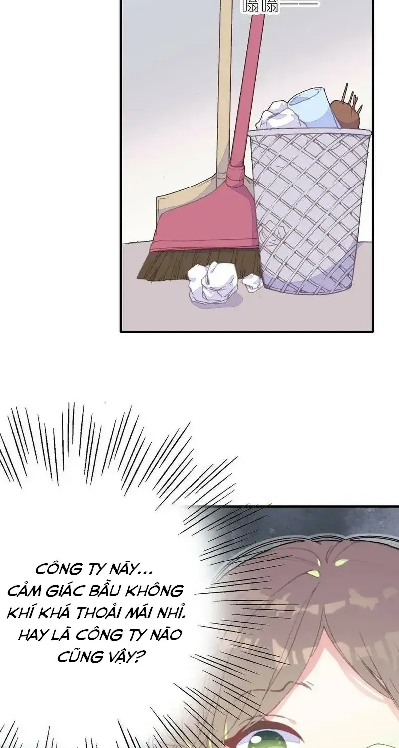 Xách Mèo Vào Ở Chap 5 - Next Chap 6