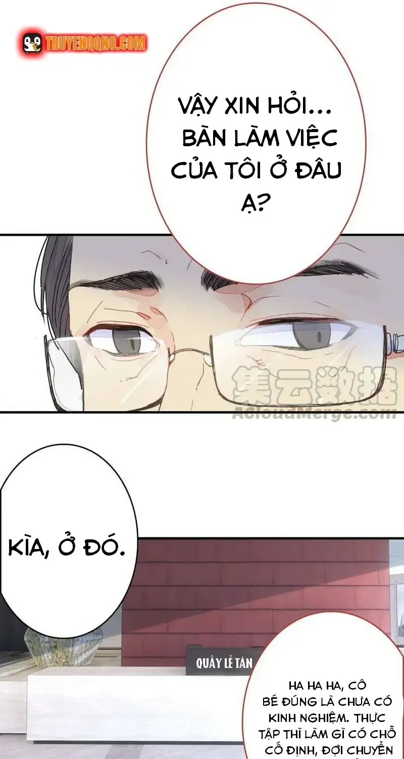 Xách Mèo Vào Ở Chap 5 - Next Chap 6
