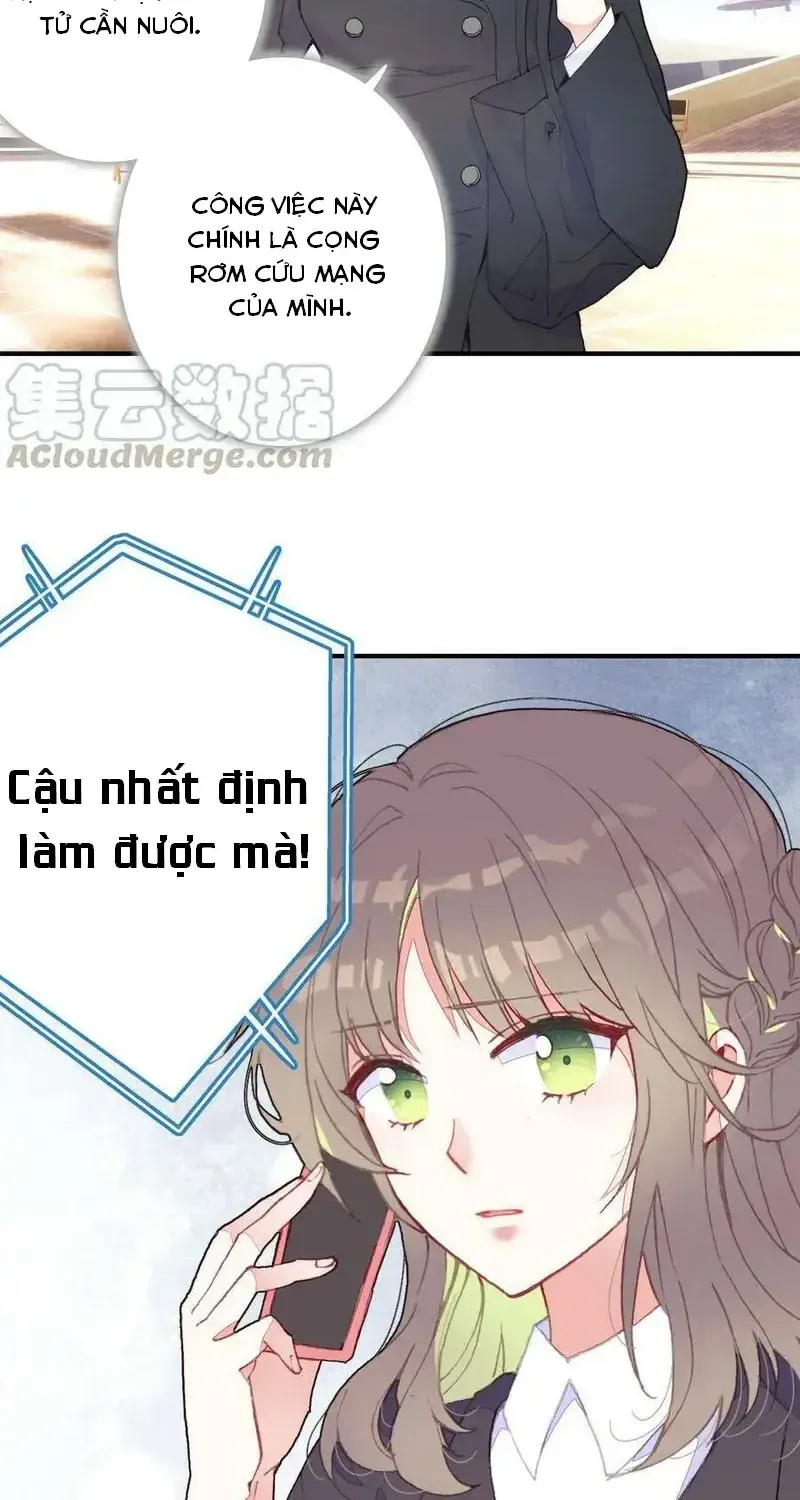 Xách Mèo Vào Ở Chap 5 - Next Chap 6