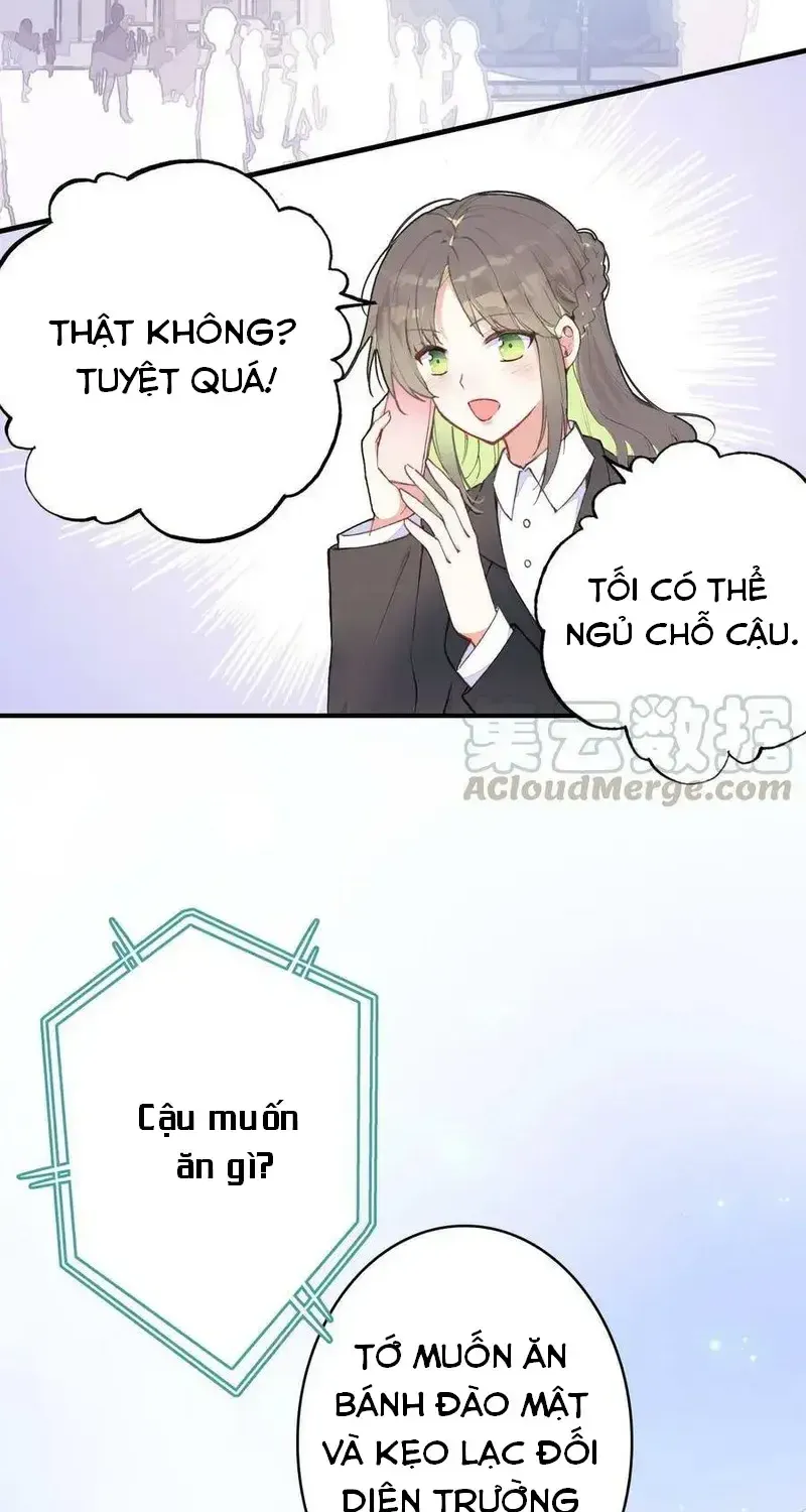 Xách Mèo Vào Ở Chap 5 - Next Chap 6