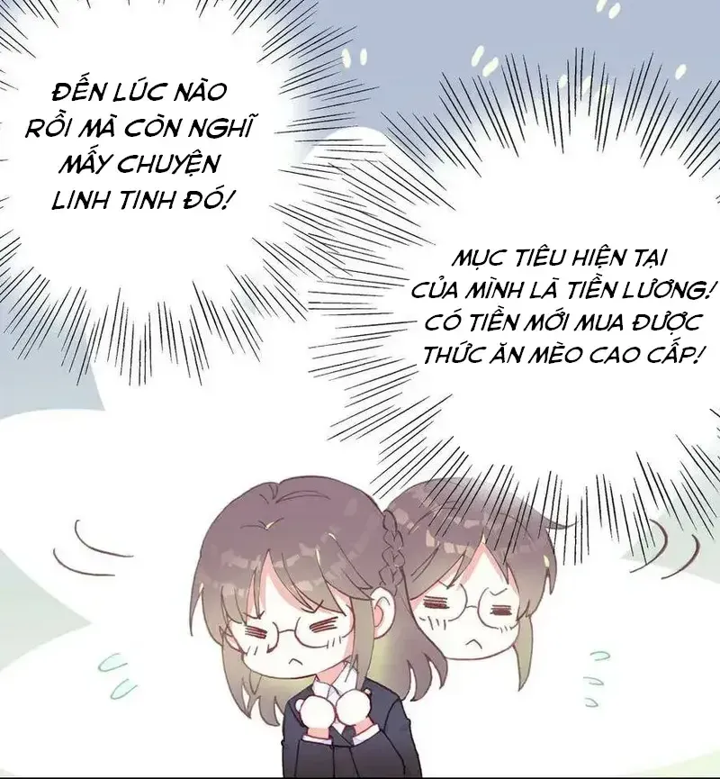 Xách Mèo Vào Ở Chap 5 - Next Chap 6