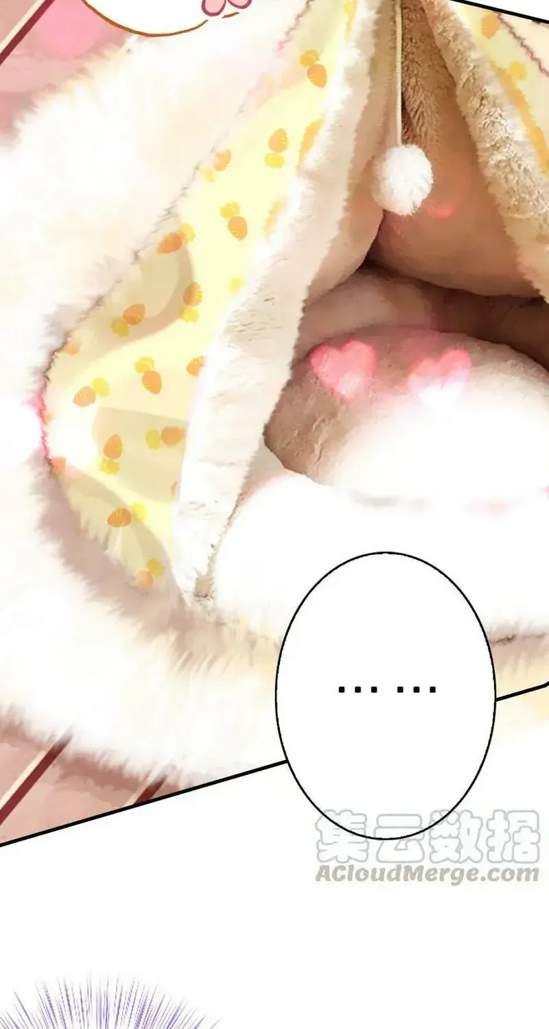 Xách Mèo Vào Ở Chap 6 - Next Chap 7