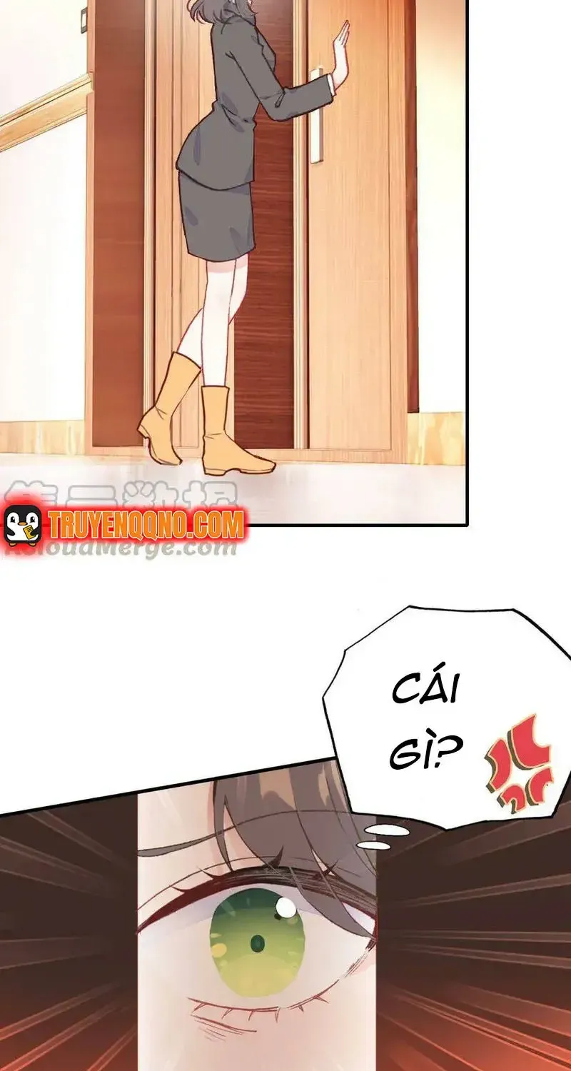 Xách Mèo Vào Ở Chap 6 - Next Chap 7