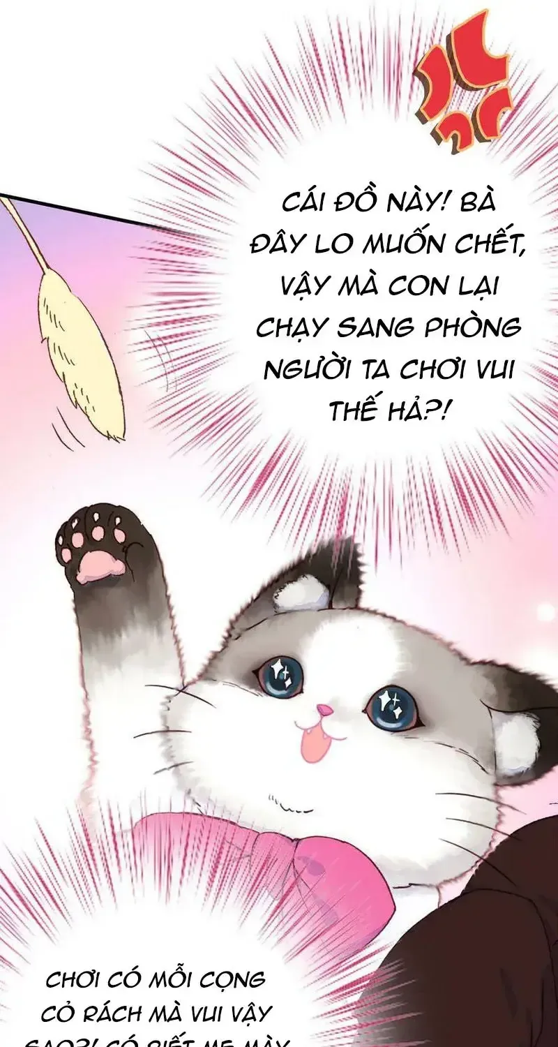 Xách Mèo Vào Ở Chap 6 - Next Chap 7