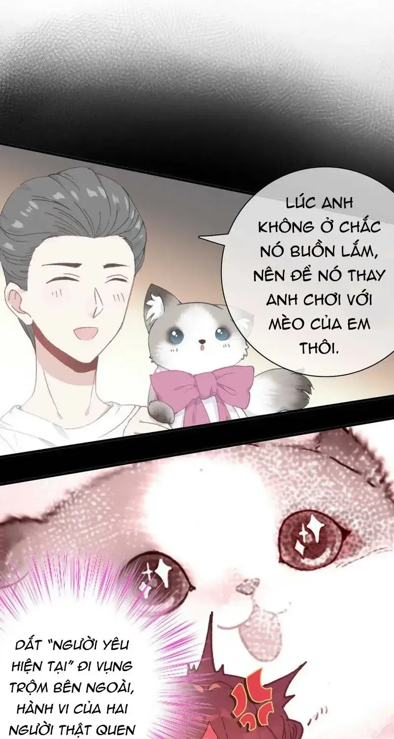 Xách Mèo Vào Ở Chap 6 - Next Chap 7