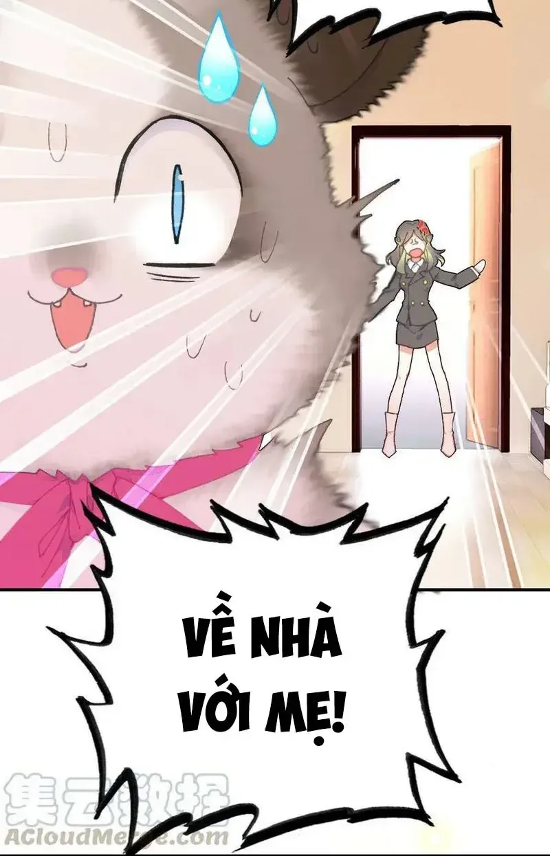 Xách Mèo Vào Ở Chap 6 - Next Chap 7