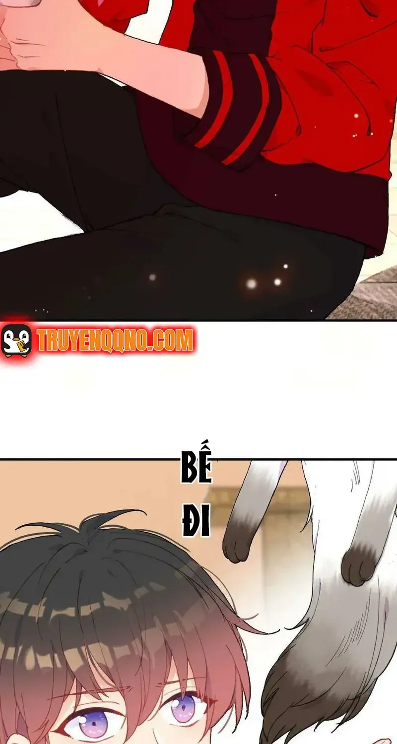 Xách Mèo Vào Ở Chap 6 - Next Chap 7