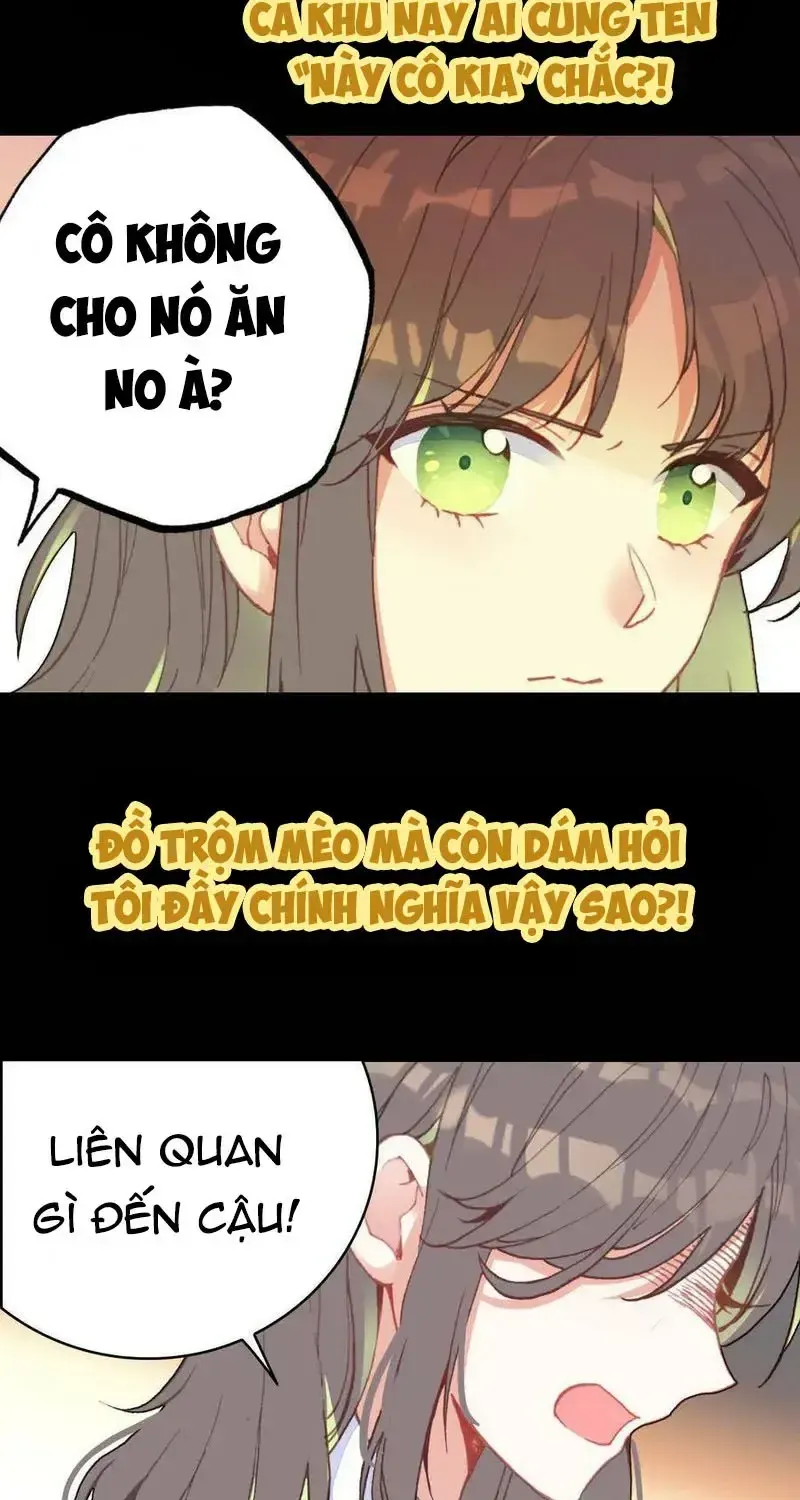 Xách Mèo Vào Ở Chap 6 - Next Chap 7