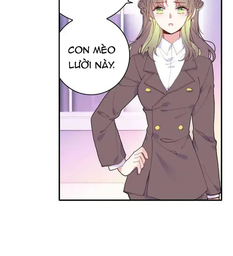 Xách Mèo Vào Ở Chap 6 - Next Chap 7