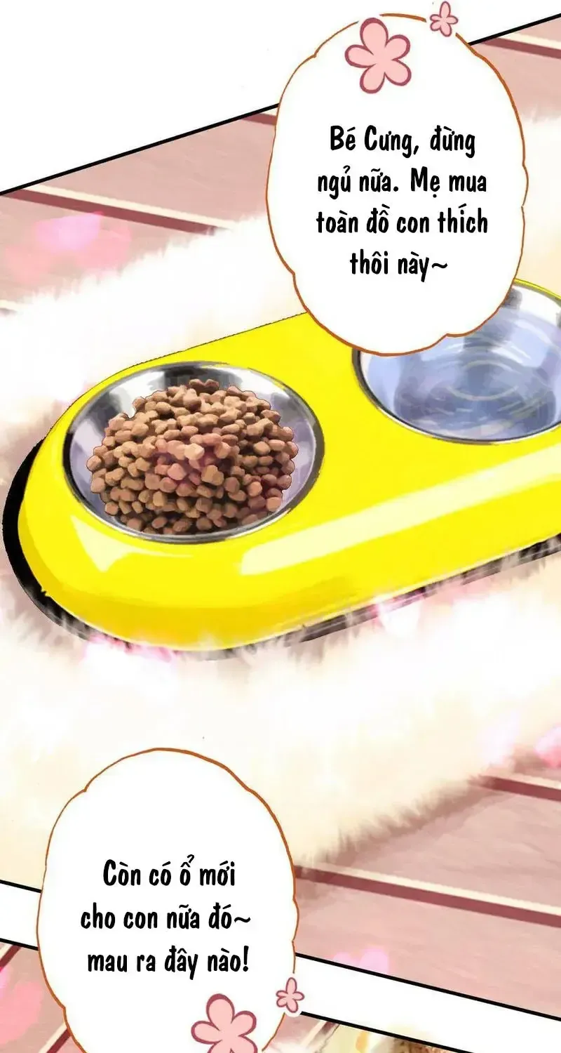 Xách Mèo Vào Ở Chap 6 - Next Chap 7