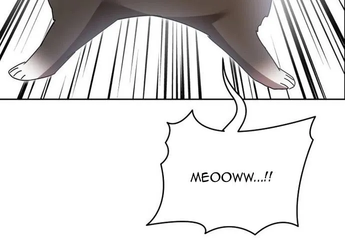 Xin Chào! Bác Sĩ Thú Y Chap 100 - Next Chap 101