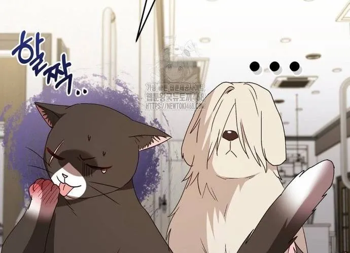 Xin Chào! Bác Sĩ Thú Y Chap 100 - Next Chap 101