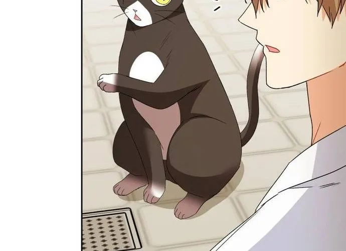 Xin Chào! Bác Sĩ Thú Y Chap 100 - Next Chap 101