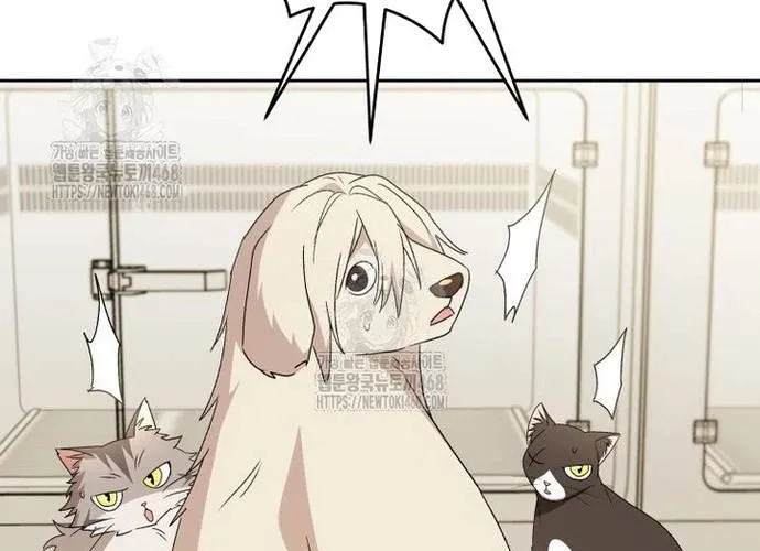 Xin Chào! Bác Sĩ Thú Y Chap 100 - Next Chap 101