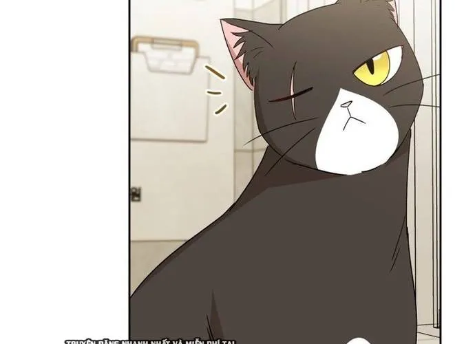 Xin Chào! Bác Sĩ Thú Y Chap 100 - Next Chap 101