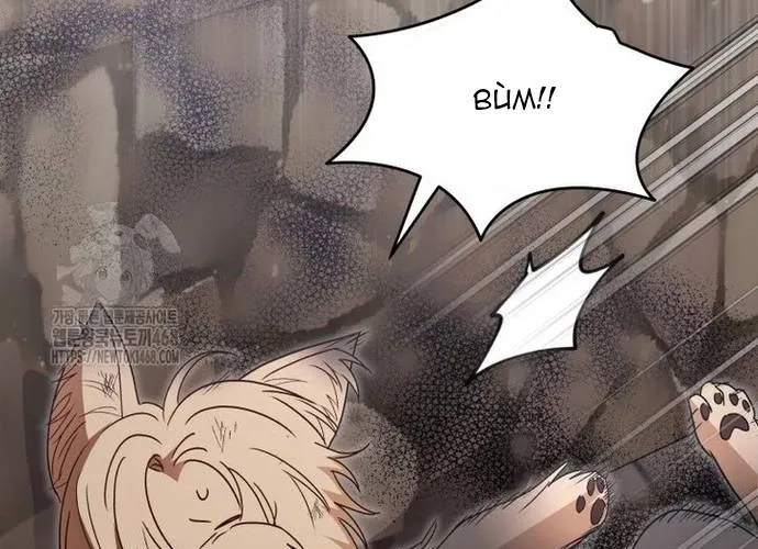 Xin Chào! Bác Sĩ Thú Y Chap 100 - Next Chap 101