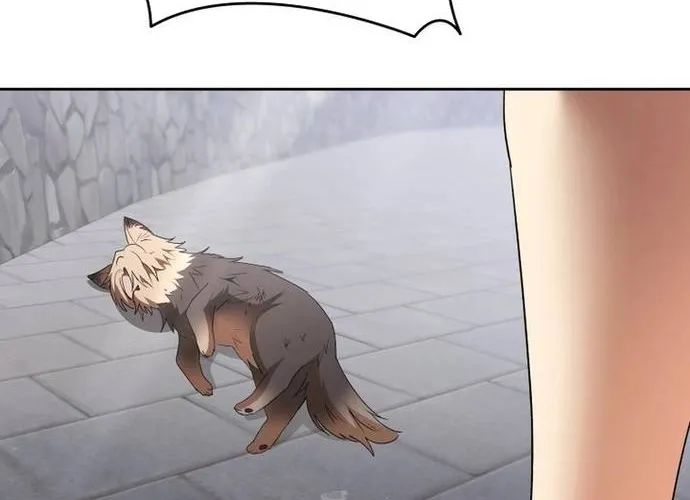 Xin Chào! Bác Sĩ Thú Y Chap 100 - Next Chap 101