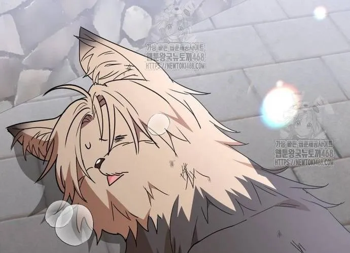 Xin Chào! Bác Sĩ Thú Y Chap 100 - Next Chap 101