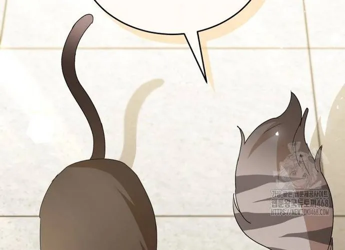 Xin Chào! Bác Sĩ Thú Y Chap 100 - Next Chap 101