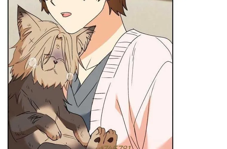 Xin Chào! Bác Sĩ Thú Y Chap 101 - Next Chap 102