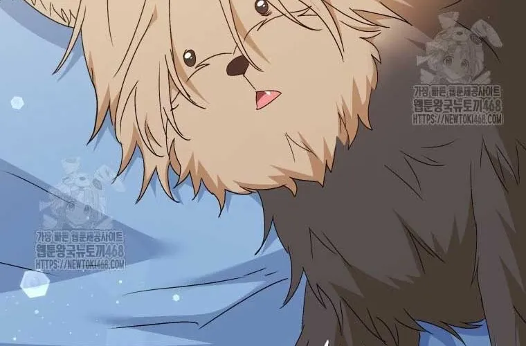 Xin Chào! Bác Sĩ Thú Y Chap 101 - Next Chap 102