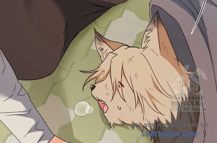 Xin Chào! Bác Sĩ Thú Y Chap 101 - Next Chap 102