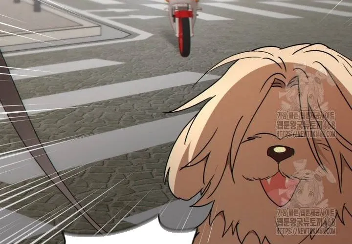 Xin Chào! Bác Sĩ Thú Y Chap 102 - Next Chap 103