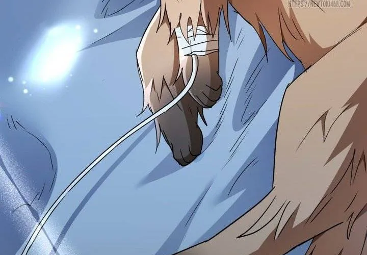 Xin Chào! Bác Sĩ Thú Y Chap 102 - Next Chap 103