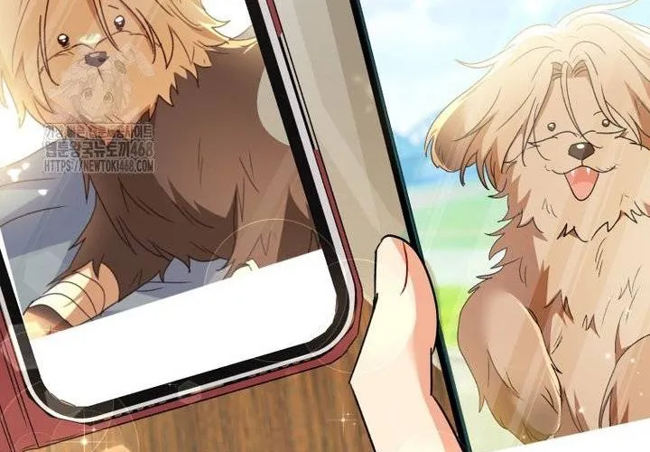 Xin Chào! Bác Sĩ Thú Y Chap 102 - Next Chap 103