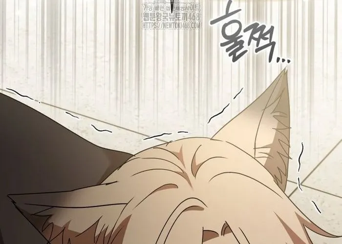 Xin Chào! Bác Sĩ Thú Y Chap 104 - Next Chap 105