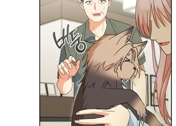 Xin Chào! Bác Sĩ Thú Y Chap 104 - Next Chap 105