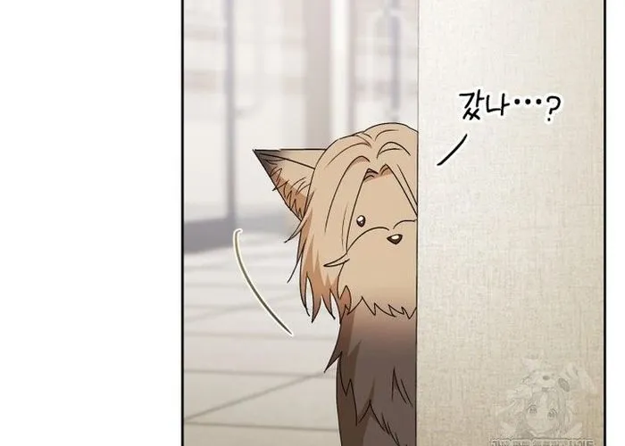 Xin Chào! Bác Sĩ Thú Y Chap 104 - Next Chap 105