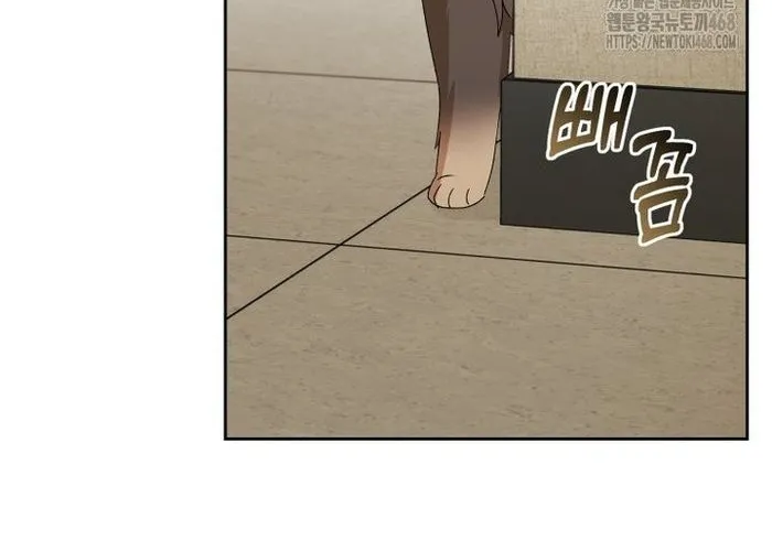 Xin Chào! Bác Sĩ Thú Y Chap 104 - Next Chap 105